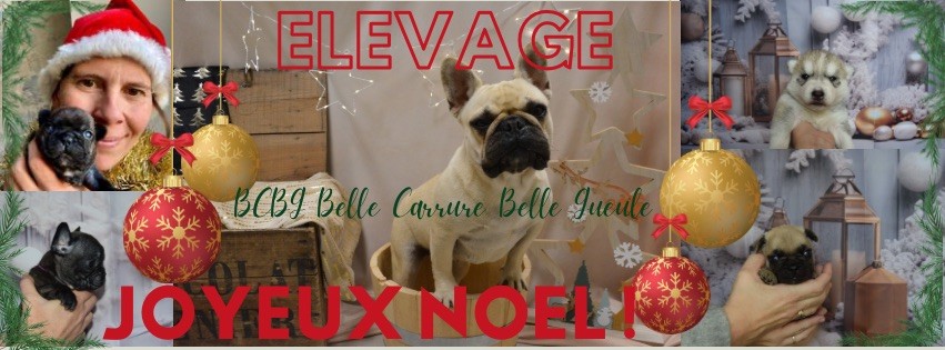 Bcbg Belle Carrure Belle Gueule - Joyeux Noël 