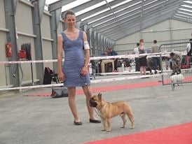 Hercules Bcbg Belle Carrure Belle Gueule