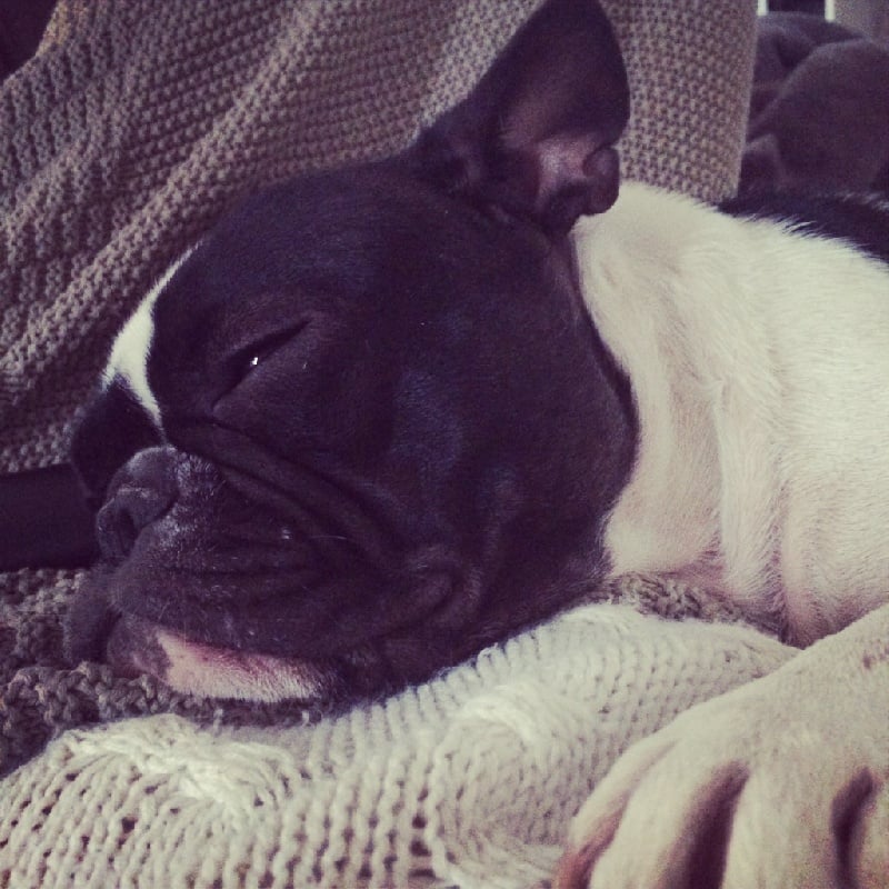 Happy Bcbg Belle Carrure Belle Gueule