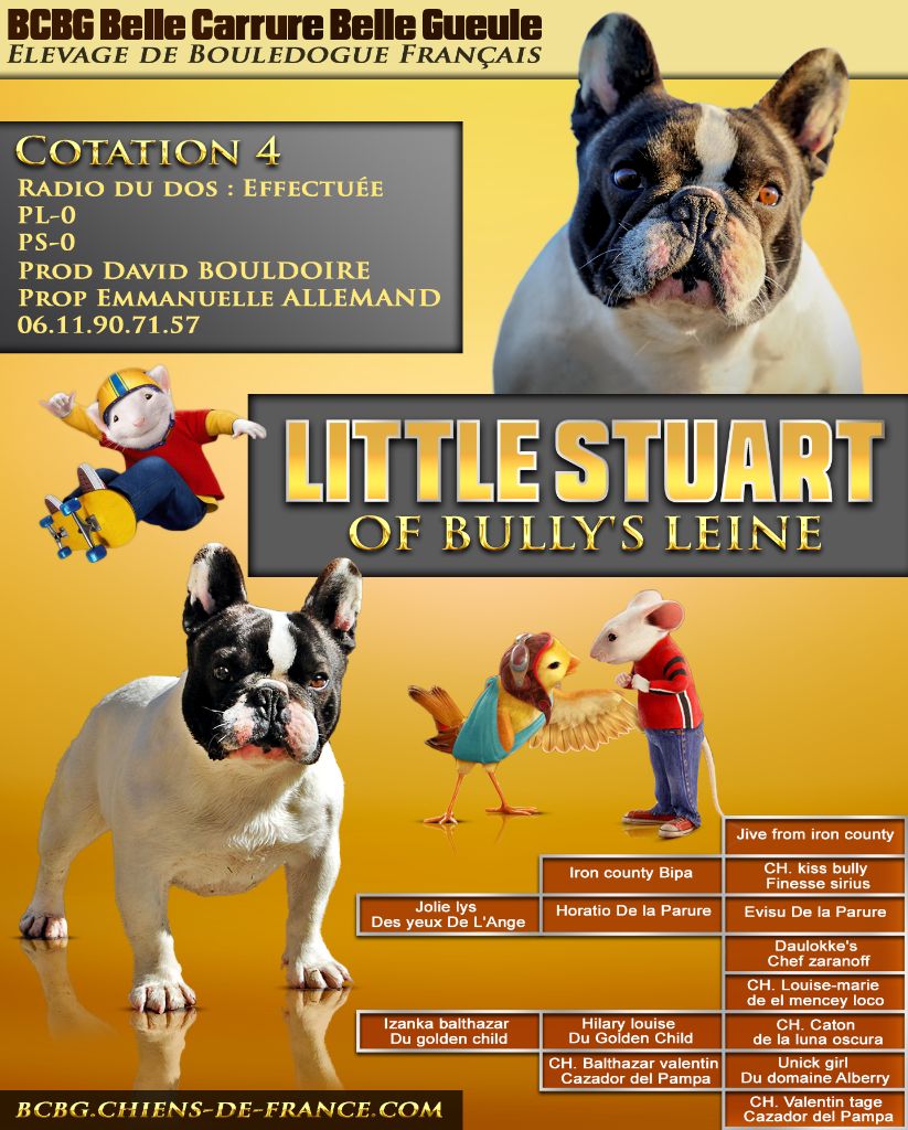 Little stuart Of Bully's Leine