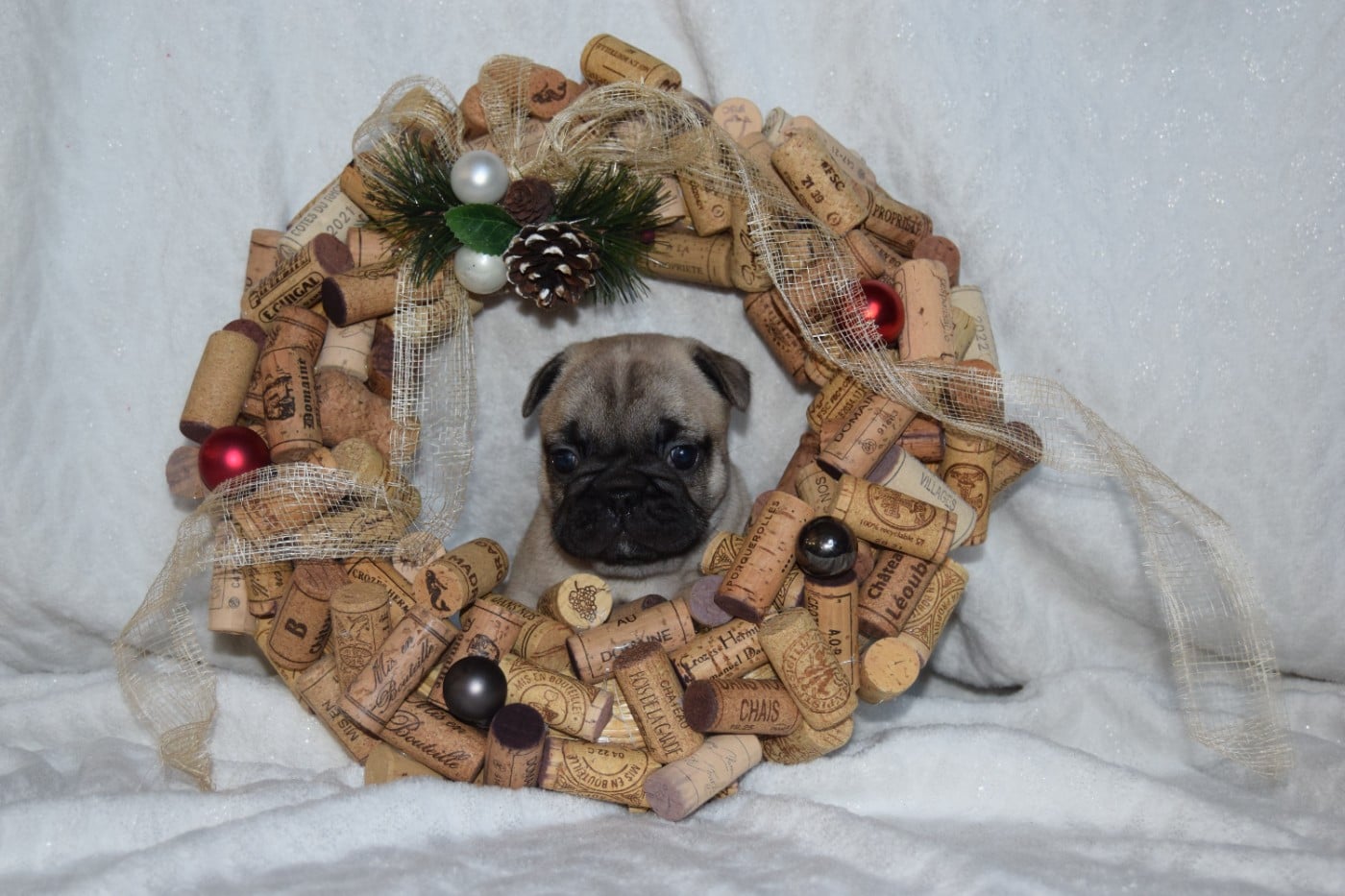 Bcbg Belle Carrure Belle Gueule - De belles couronnes de l'Avent !!!