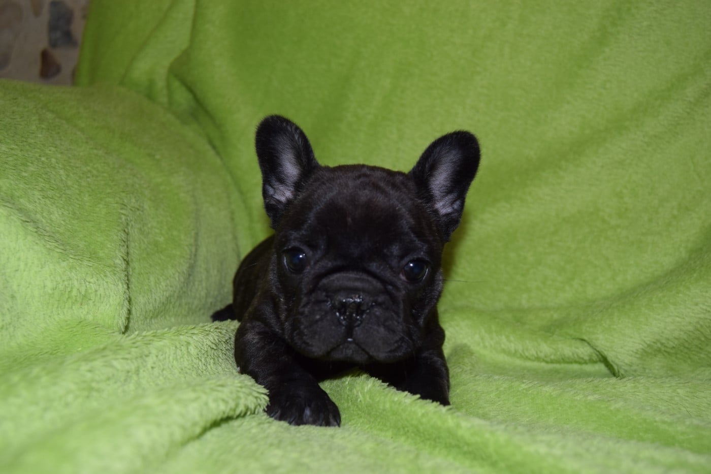 Album de portée à jour