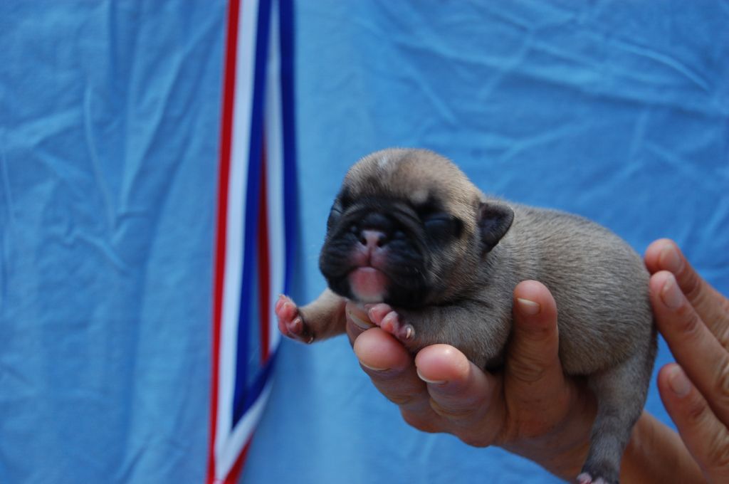 Portée Mini 10/07/2018