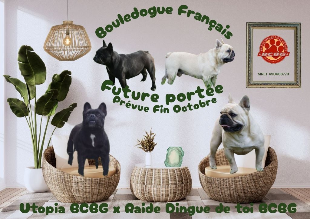 Portée Utopia 24/10/2025