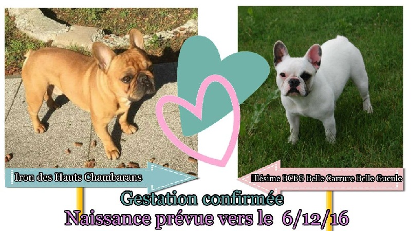 Portée Illésime 05/12/2016