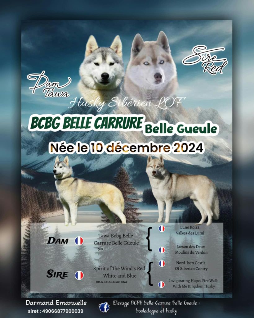 Portée Tawa 07/12/2024