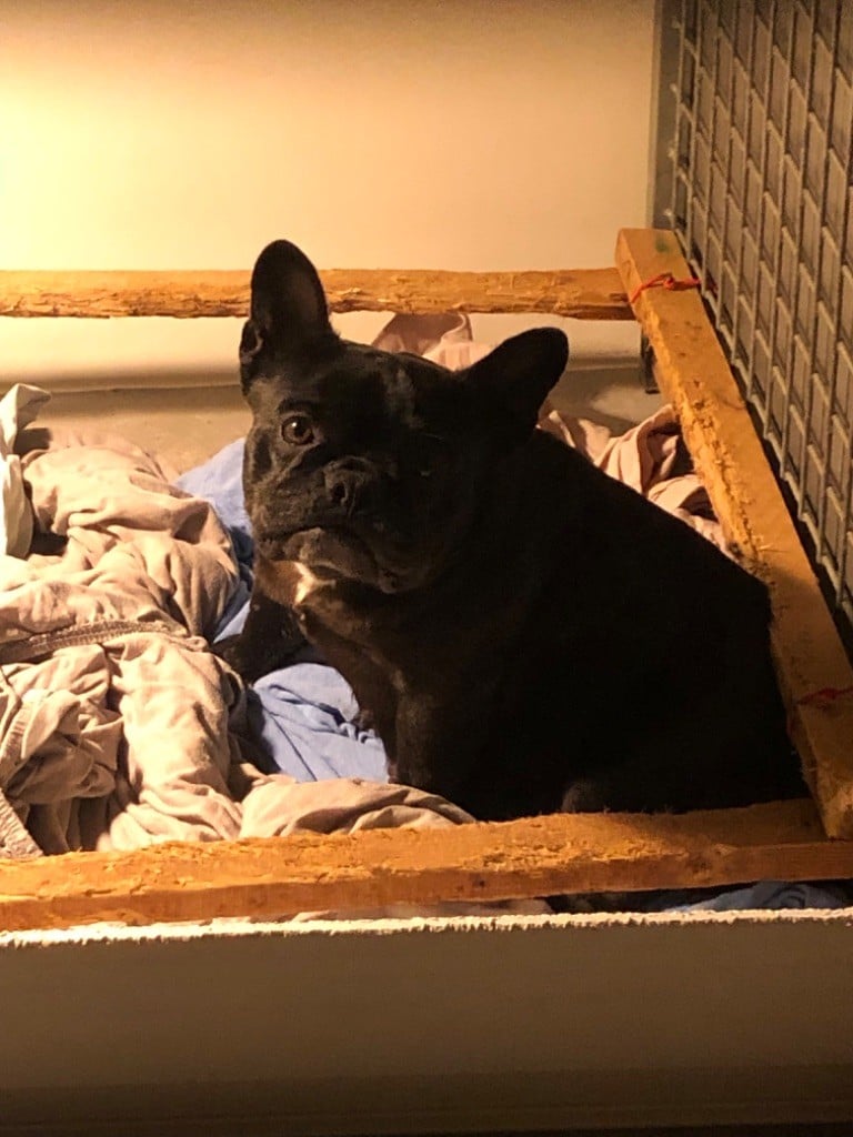 Portée Utopia 24/10/2025